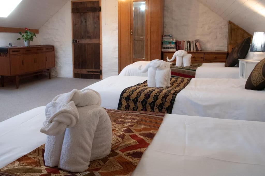 Yr Hen Efail - Old Smithy Villa Tregaron Eksteriør billede